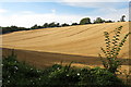 Stubble field and Hanginghill plantation