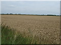 Farmland, Harpswell Hill