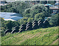 Scotswood Railway Bridge