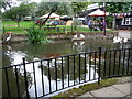 Pond, The Old Swan Tea Rooms, Hare Street, Hertfordshire