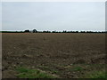 Farmland off Barff Lane