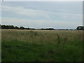 Farmland, Mill Hill