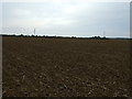 Farmland near Caenby