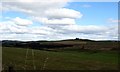 NT4809 : Grazing lands near Winningtonrig in Roxburghshire by James Denham