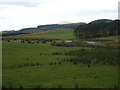 NT4811 : Marshy grazing lands at Pilmuir in Roxburghshire by James Denham