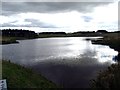 NT4911 : Williestruther Loch by James Denham