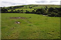 Farmland near Llangwm