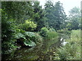 Cromford canal near Ambergate