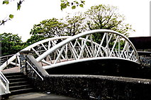 R3377 : Ennis - Wood Quay Parking Area - Pedestrian Bridge to Rowan Tree by Suzanne Mischyshyn