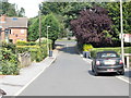 Carrholm Grove - looking towards Stainbeck Road