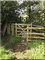 SY2496 : Gates and flood, Shute Footpath 18 by Derek Harper