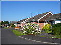 Bungalows in Ruishton