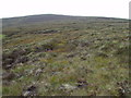 NN8586 : Slope south of Carn an Fhidleir Lorgaidh above Glen Feshie, Aviemore by ian shiell