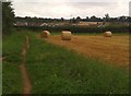 Bales in the corner of the field