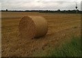 Straw bale in a field