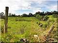 Eskernabrogue Townland