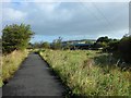 NS3976 : Glasgow-Loch Lomond Cycleway by Stephen Sweeney