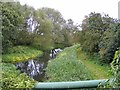 Disused Canal Path