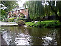 River Alre Alresford, Hampshire