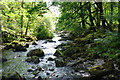 The banks of Afon Eden