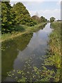 TQ9529 : The Royal Military Canal at Appledore by Stefan Czapski