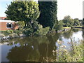 Back of bungalows on Blyth Road, beside the Chesterfield Canal, Ranby