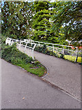 ST1776 : Millennium Footbridge, Bute Park by David Dixon