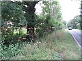 Footpath to Woodbrooks Farm off the A275