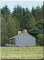 House and forest, Hesbert Hall