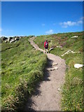 SW3425 : The coastal path from Land's End to Sennen Cove by Rod Allday