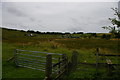 Looking towards Tindale from the A689 at Woodend Bridge