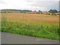 Arable land at South Barn Farm