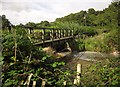 Footbridge over Umborne Brook