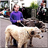 R4561 : Bunratty Folk Park - Site #12 - The Village Street - Irish Wolfhounds on Display by Suzanne Mischyshyn