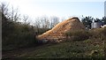 Mound of wood chips