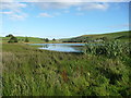 On the fringe of Llynheilyn