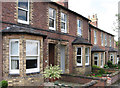 SJ5177 : Frodsham - houses on Park Lane by Dave Bevis