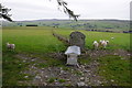 Sheep feeder at Pant-y-blaid