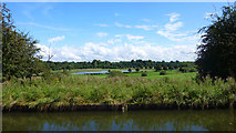 SJ7387 : Bridgewater Canal/Dunham Massey by Richard Cooke