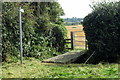 Path to Birchmoor Lodge