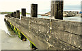 Groynes, Portballintrae (2)