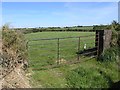 W6265 : Farm fields near Ballinhassig by Hywel Williams