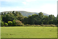 Field north of Llanbrynmair