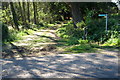 Path to Birchmoor farm