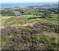 NT2773 : Arthur's Seat - view from near the top by Rob Farrow