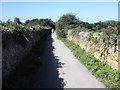 Path to the beach, Croyde Bay