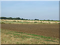 TF1907 : Farmland off Decoy Road by JThomas