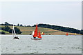 SK9106 : Sailing dinghies, Rutland Water by Rob Noble