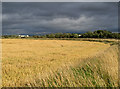 NS8392 : Farmland near Haugh of Blackgrange by William Starkey