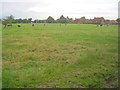 Meadow at Welbourn